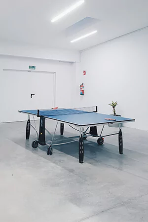 Ping Pong Table